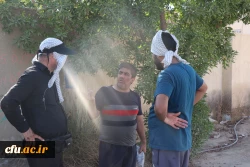 خادمان و زائران موکب دانشگاه فرهنگیان در کربلا