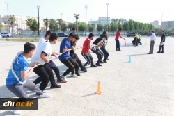 با حضور رئیس دانشگاه فرهنگیان استان بوشهر؛
همایش پیاده روی ساحلی پردیس علامه طباطبایی برگزار شد 8