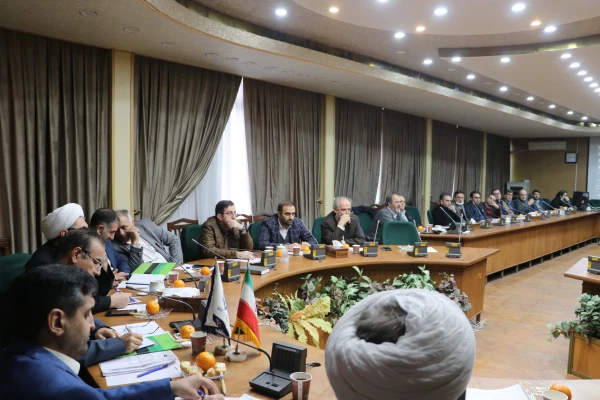 جلسه هم اندیشی اساتید دانشگاه فرهنگیان با عنوان "بررسی ایده های  نو وعینی در ارتقای اعضای هئیت علمی " 13