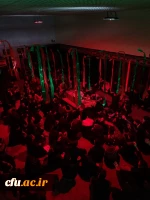 مراسم عزاداری ایام فاطمیه و شبی با شهید گمنام در قالب تشریح، میزبانی، استقبال و وداع 5