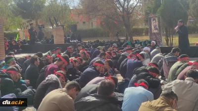 گالری تصاویر 2