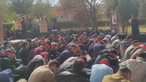 گالری تصاویر 2 2