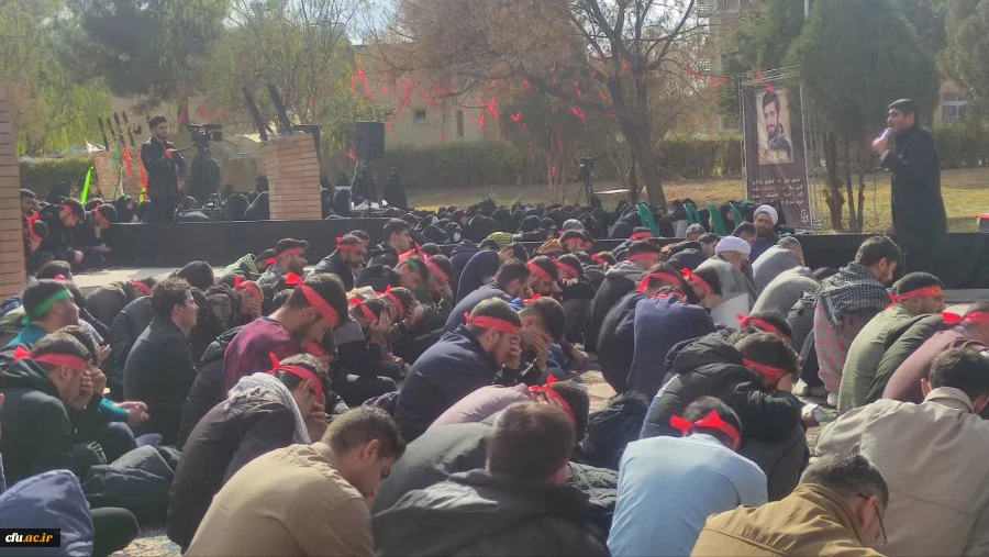 گالری تصاویر 2 2