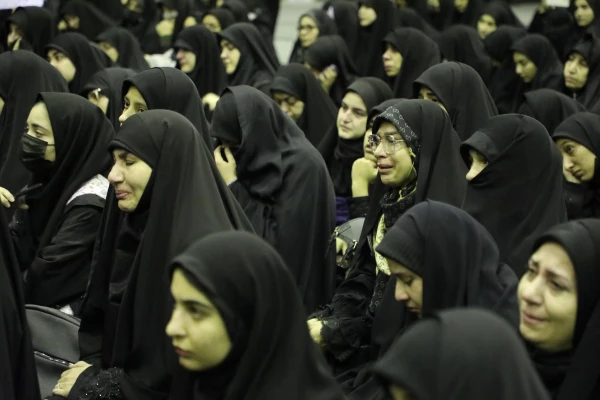 گالری تصاویر 2 7