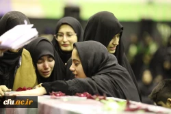 گالری تصاویر 2 12