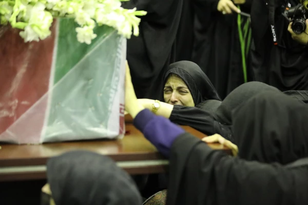 گالری تصاویر 2 14