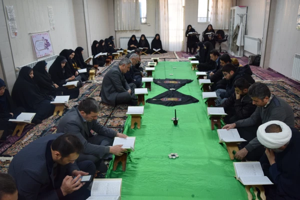 گالری تصاویر 2 16