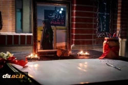 گالری تصاویر 2 17