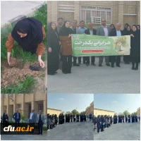 به مناسبت روز درختکاری؛  چندین اصله نهال در پردیس های دانشگاه فرهنگیان استان بوشهر غرس شد 8