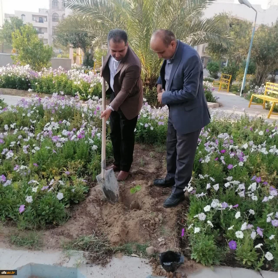 به مناسبت روز درختکاری؛  چندین اصله نهال در پردیس های دانشگاه فرهنگیان استان بوشهر غرس شد 9