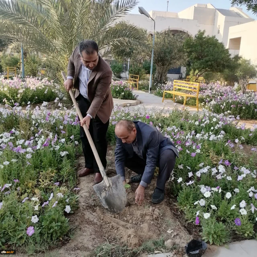 به مناسبت روز درختکاری؛  چندین اصله نهال در پردیس های دانشگاه فرهنگیان استان بوشهر غرس شد 10