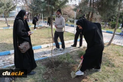 غرس نهال با هدف پردیس سبز و گرامیداشت یاد و خاطره شهدای دانشجو معلم در دانشگاه فرهنگیان آذربایجان شرقی 24