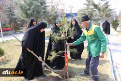 غرس نهال با هدف پردیس سبز و گرامیداشت یاد و خاطره شهدای دانشجو معلم در دانشگاه فرهنگیان آذربایجان شرقی 25