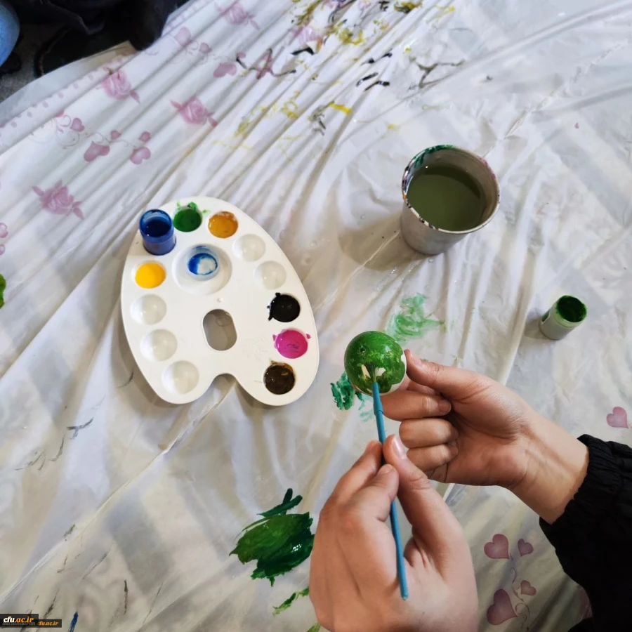 اردوی جهادی دانشجو معلمان بسیجی خواهران در روستای زرین آباد سفلی 3