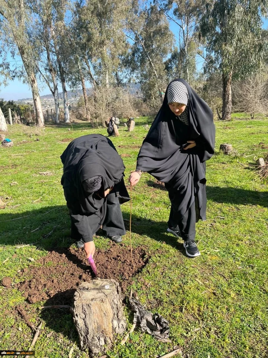 کاشت ۲۰۰ اصله نهال به همت دانشجویان دانشگاه فرهنگیان مازندران 7