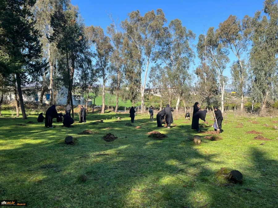 کاشت ۲۰۰ اصله نهال به همت دانشجویان دانشگاه فرهنگیان مازندران 8