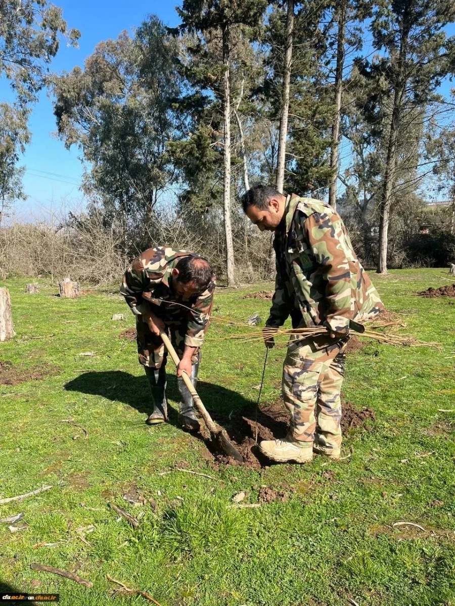 کاشت ۲۰۰ اصله نهال به همت دانشجویان دانشگاه فرهنگیان مازندران 11