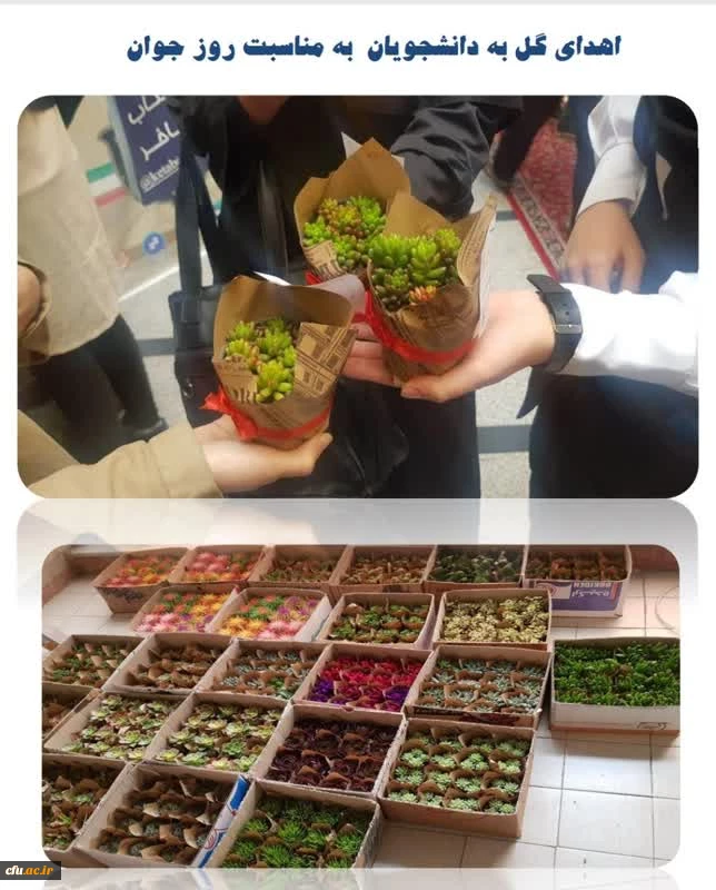 مصاحبه با فاطمه نصری سیمیاری 4