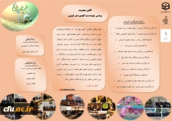 مصاحبه با دبیر برتر کانون مهدویت دانشگاه فرهنگیان قزوین 10