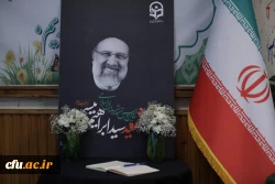 دوازدهمین جشنواره ملی پژوهش و فناوری دانشگاه فرهنگیان 30