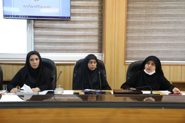 برگزاری جلسۀ بررسی ساختار و رویکرد محتوایی مرکز نوآوری و کارآفرینی  3