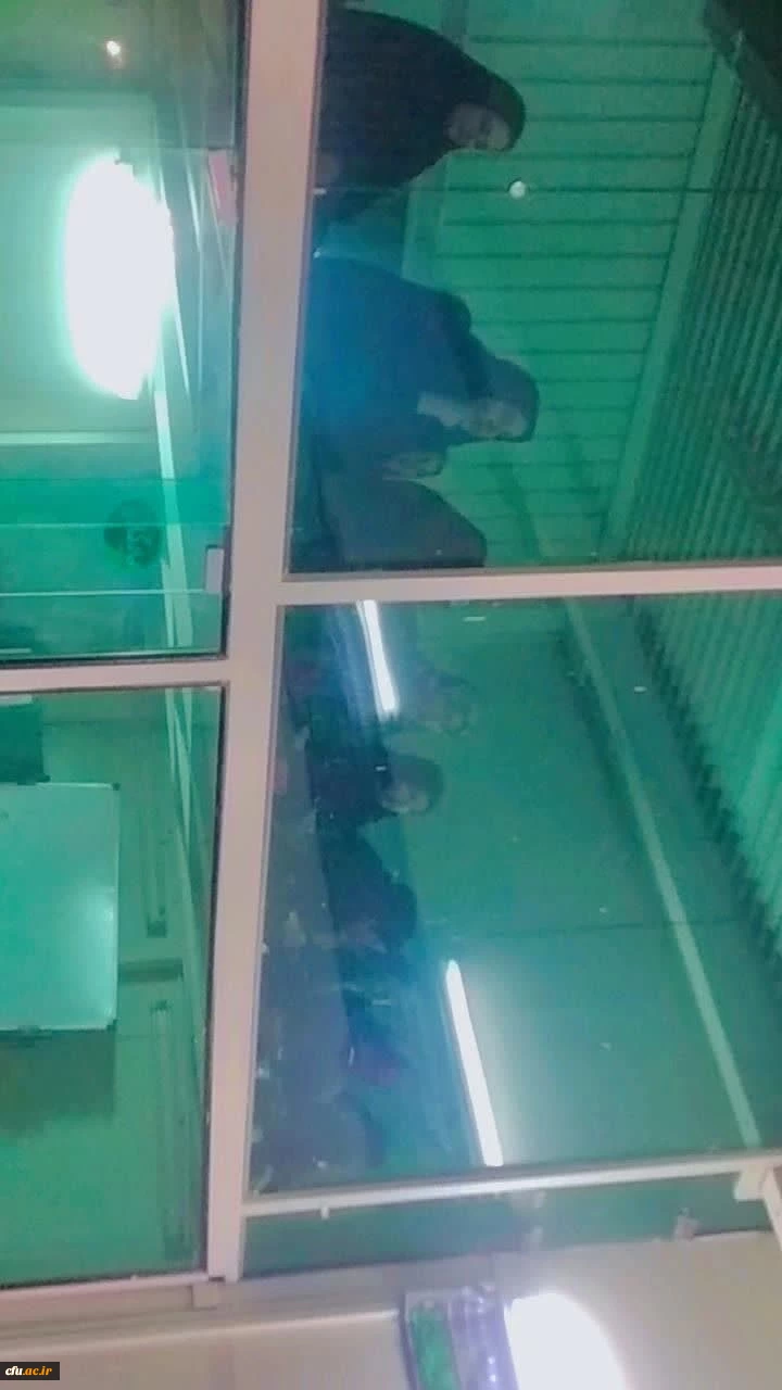 برگزاری اولین دوره تربیت معلم حفظ قرآن کریم در دانشگاه فرهنگیان استان آذربایجان شرقی 7