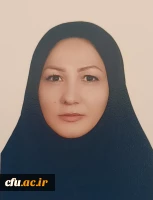 همکاران مرکز 2