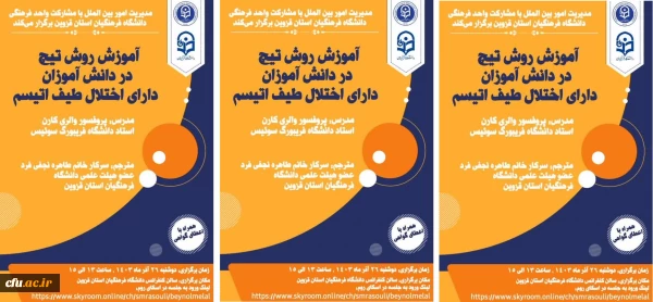 کارگاه بین المللی با عنوان  آموزش روش تیچ در دانش آموزان دارای اختلال طیف اتیسم برگزار شد 3