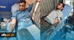 
پویش اهدای خون در دانشگاه فرهنگیان کرمانشاه برای هرمزگان
 5