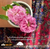 اهتمام در ارزیابی علمی، دقیق و عادلانه داوطلبان ورود به دانشگاه فرهنگیان در ۳۱ استان کشور
 5