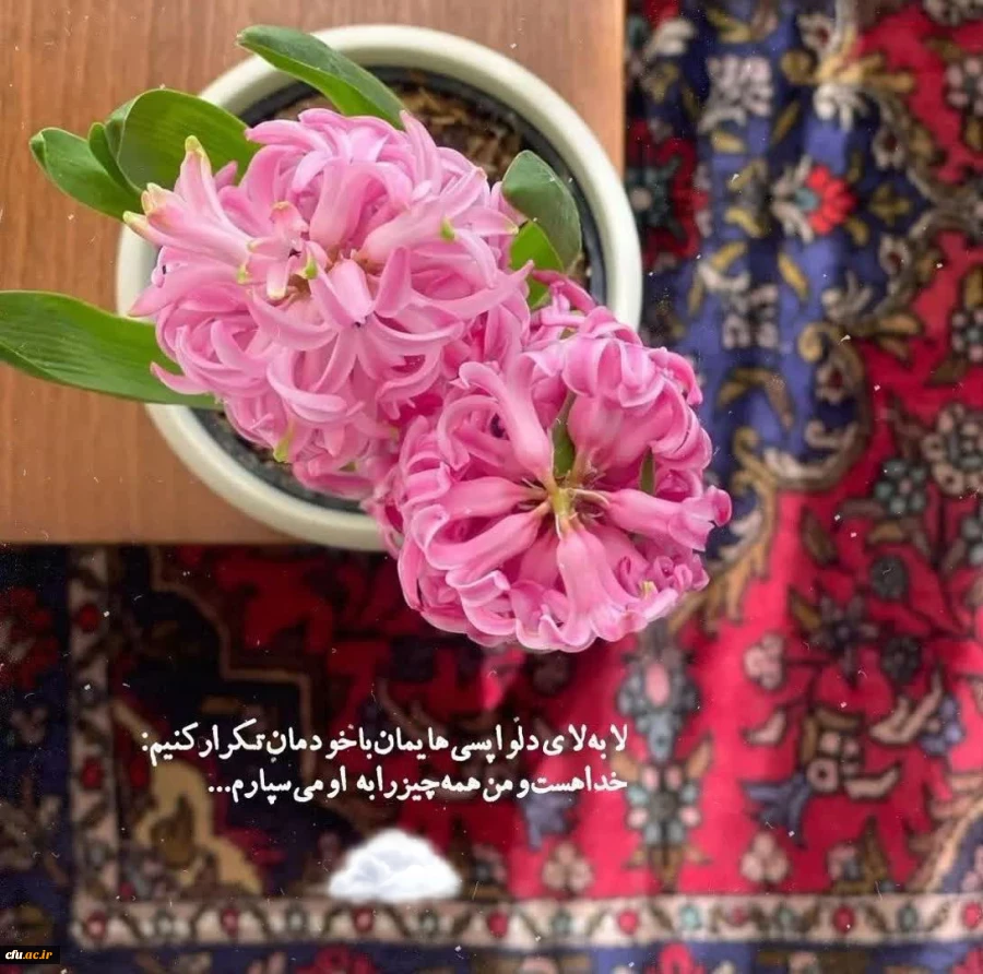 اهتمام در ارزیابی علمی، دقیق و عادلانه داوطلبان ورود به دانشگاه فرهنگیان در ۳۱ استان کشور
 5