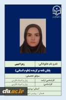پایان نامه برگزیده علوم انسانی و هنر-خانم زهرا امینی 2