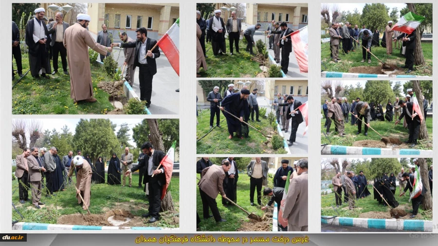 غرس چهار اصله نهال مثمر در محوطه دانشگاه فرهنگیان همدان 2