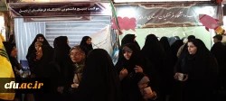 شکوه 