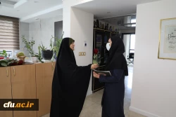 
دیدارآرزو عادلی فر سرپرست معاونت برنامه ریزی و توسعه منابع و حوریه رزاقیان مشاور امور بانوان دانشگاه فرهنگیان با بانوان سازمان مرکزی به مناسبت ولادت حضرت معصومه(س) 3