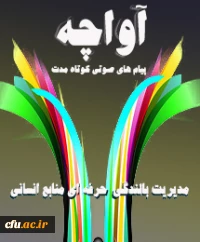 آواچه(پیام های صوتی کوتاه مدت)