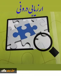 ارزیابی درونی