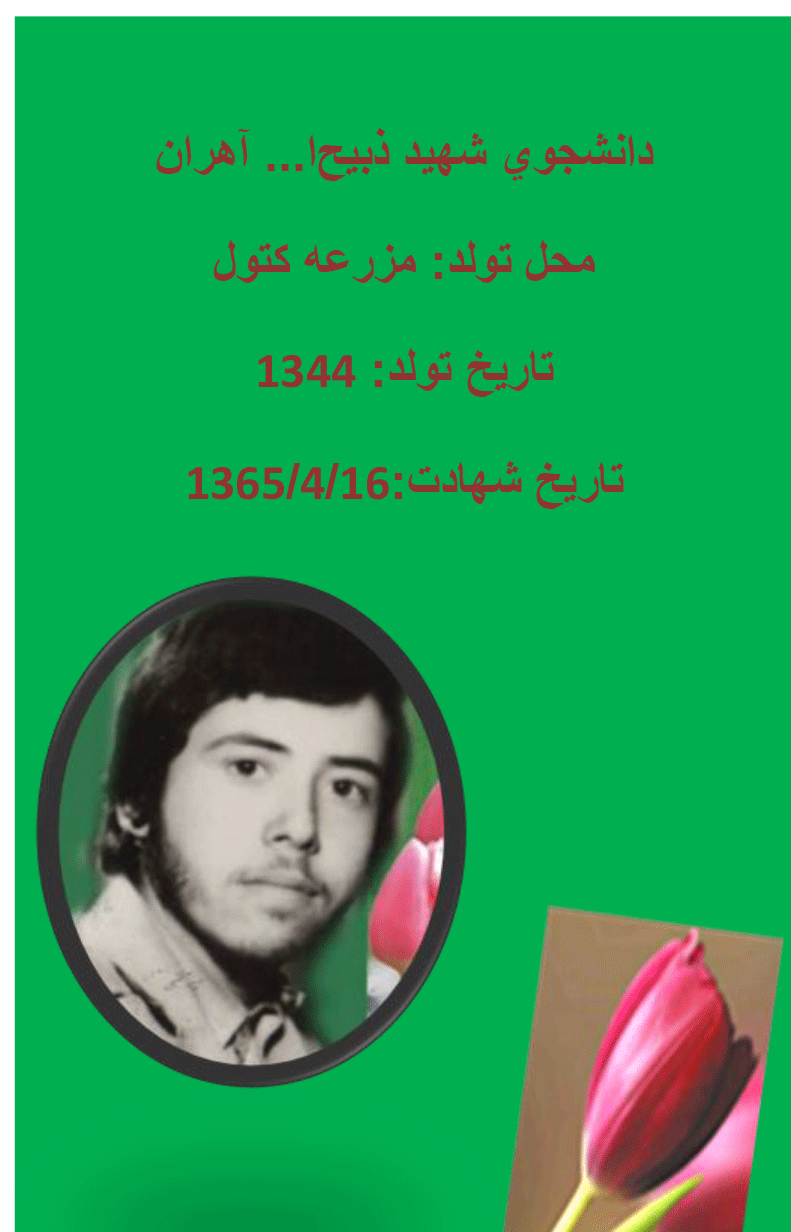 دانشجوی شهید ذبیح ا... آهران