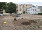 عملیات آسفالت‌ریزی محوطه دانشگاه فرهنگیان استان اردبیل