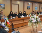 دکتر فرهاد علیپور: معماری کلان برنامه‌های درسی دانشگاه فرهنگیان با مشارکت استان‌ها تدوین می‌شود