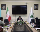 گام بلند دانشجومعلمان آذربایجان‌غربی برای فعالیت تخصصی در حوزه کودک و نوجوان