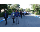 همایش پیاده‌روی ویژه کارکنان و اساتید دانشگاه فرهنگیان کردستان برگزار شد
