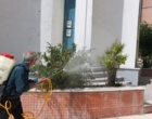 سم‌پاشی درختان محوطه دانشگاه برای مقابله با آفات انجام شد