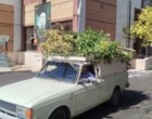 «کمپین گسترده نظافت و پاکسازی محیطی در دانشگاه؛ آماده‌سازی فضا برای جلوه‌ای نو»