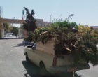 «کمپین گسترده نظافت و پاکسازی محیطی در دانشگاه؛ آماده‌سازی فضا برای جلوه‌ای نو»