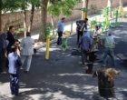 بازدید میدانی رئیس دانشگاه فرهنگیان قزوین| تأکید بر تسریع در اجرای پروژه‌های عمرانی و ارتقای کیفیت فضاها