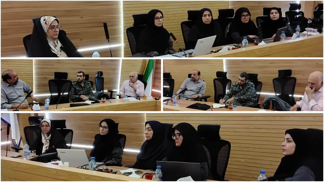 برگزاری سومین جلسه کارگروه زیباشناسی و هنر