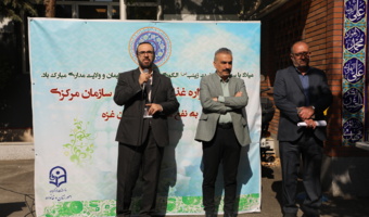 اولین جشنواره غذای سالم برگزار شد